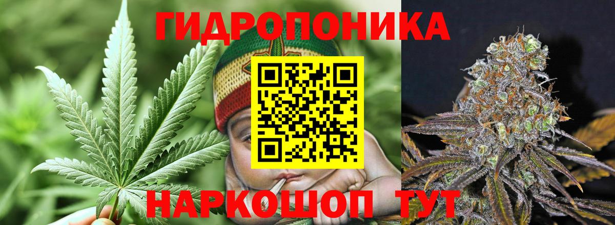 Каннабис конопля  Конопля Ganja  Ессентуки  Вход с VPN  Канабис AK-47 